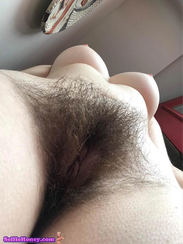 hairybushselfie5 - Hairy and Bushy Pussy Selfie